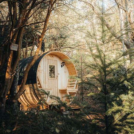 Ni-Newen Hotel & Lodge プコン エクステリア 写真