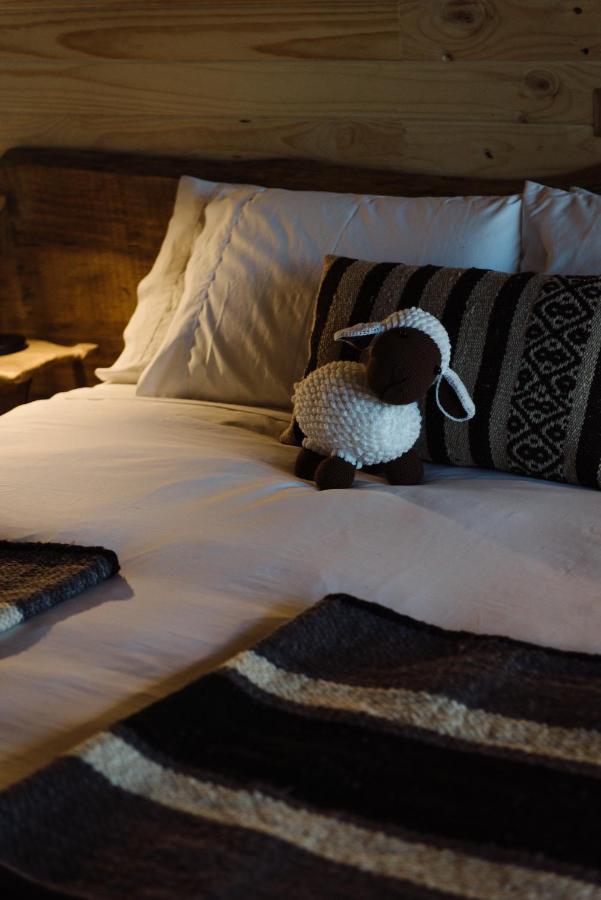 Ni-Newen Hotel & Lodge プコン エクステリア 写真