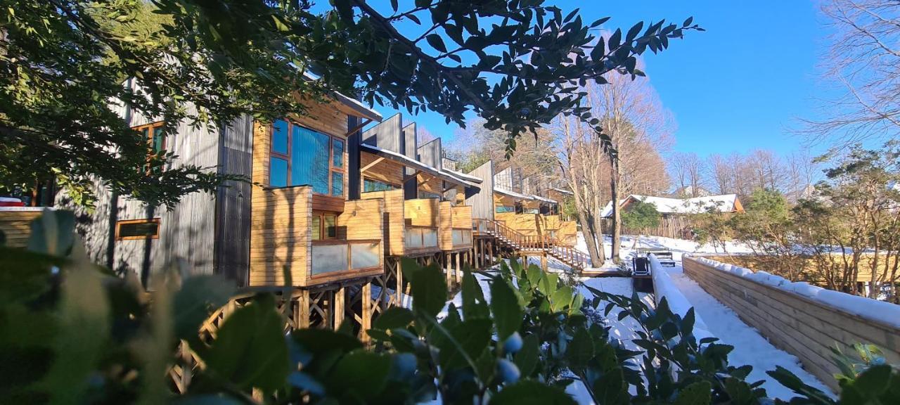 Ni-Newen Hotel & Lodge プコン エクステリア 写真