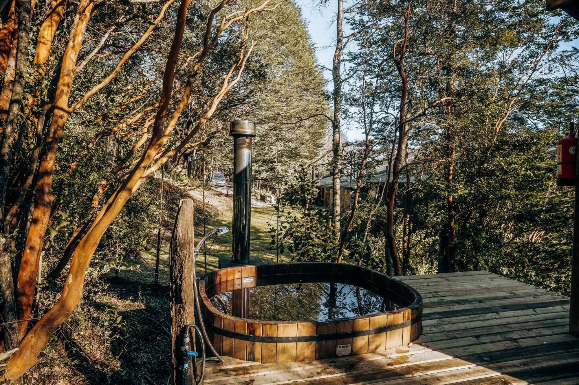 Ni-Newen Hotel & Lodge プコン エクステリア 写真